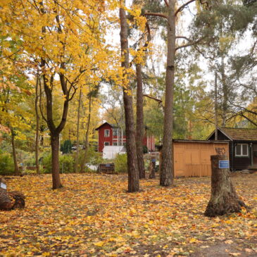 Händer i Hagalund i oktober